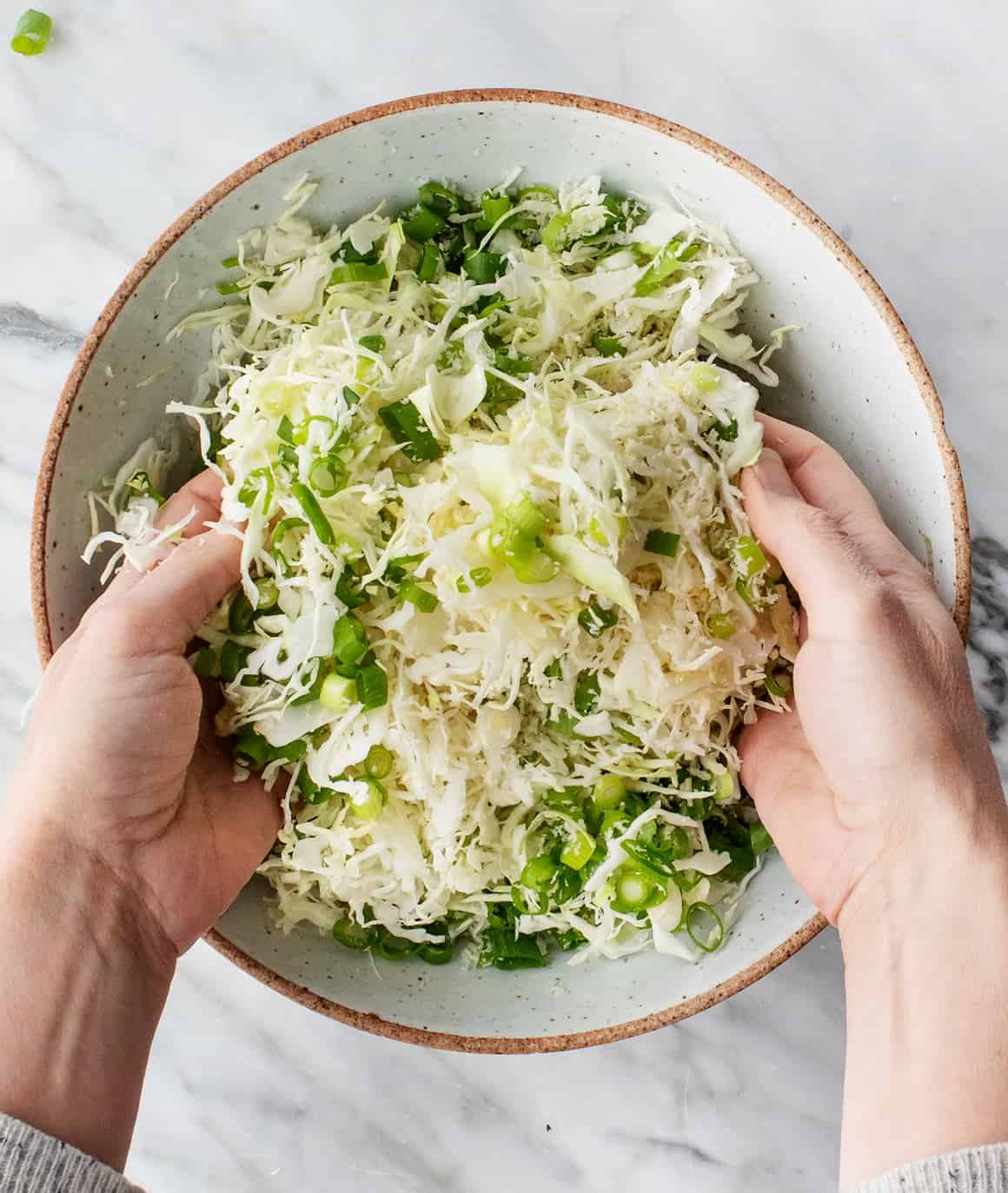 Cabbage and scallions in a bowl