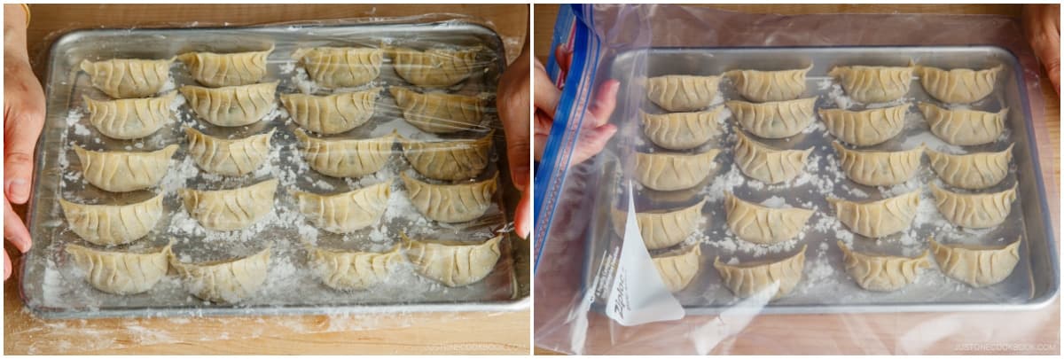 Lay uncooked gyoza in a single layer without touching on a sheet pan or plate. Cover with plastic wrap or a large resealable bag, place in the freezer, and flash freeze until solid (or at least frozen on the outside).