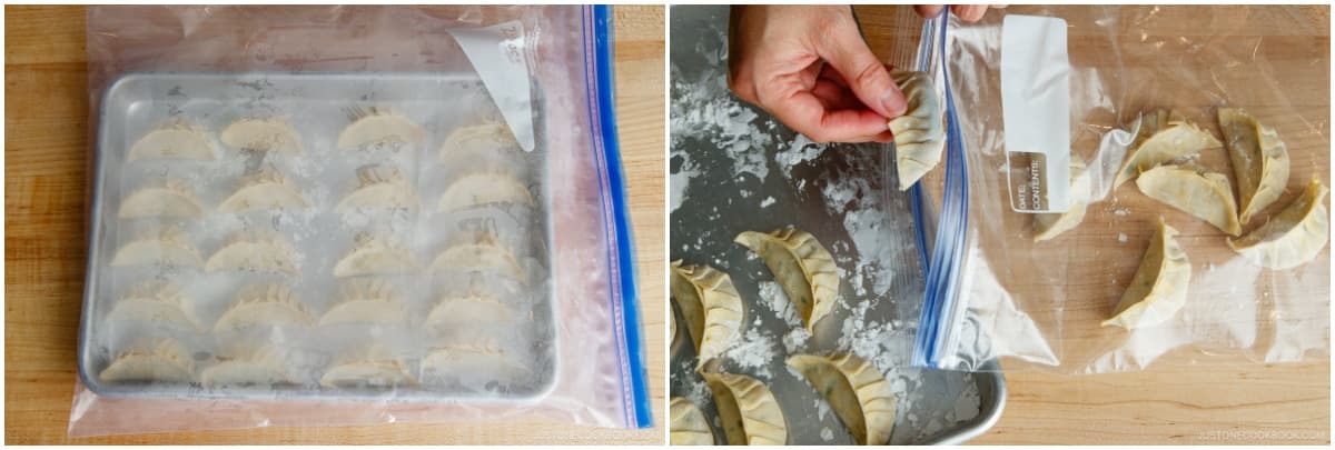 Pack the frozen gyoza in an airtight freezer bag and store in the freezer for up to a month. When ready to cook, place the frozen gyoza directly in your hot frying pan. Follow the regular cooking instructions below and steam them for an extra 1–2 minutes.Nami's Tip: Because you flash froze the gyoza, they won’t stick to each other in the bag.